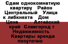 Сдам однокомнатную квартиру › Район ­ Центральный › Улица ­ к.либкнехта › Дом ­ 196 › Цена ­ 850 - Алтайский край, Славгород г. Недвижимость » Квартиры аренда посуточно   